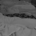 Viktorija Mitrović i Marko Osmakčić imali žestok seks pred zadrugarima (VIDEO)