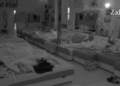 Viktorija Mitrović i Marko Osmakčić imali žestok seks pred cimerima (VIDEO)