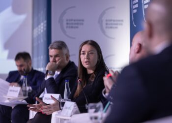 Partnerstvo države i osiguravača kao garant stabilnosti