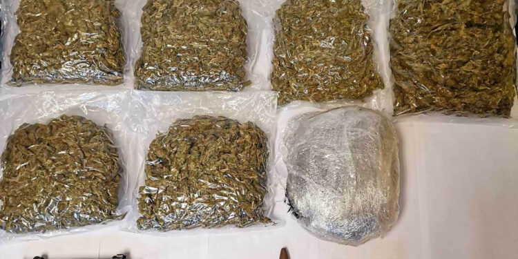 MUP zaplenio više kilograma biljne materije, oružje i novac