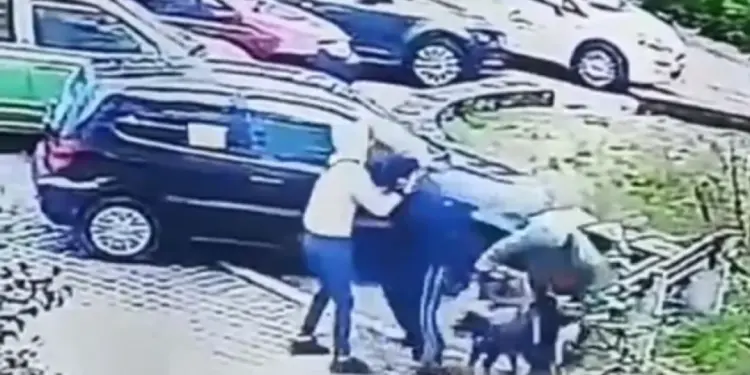 Lopov napao ženu na Novom Beogradu, izbio joj zub i pokidao nakit