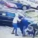 Lopov napao ženu na Novom Beogradu, izbio joj zub i pokidao nakit
