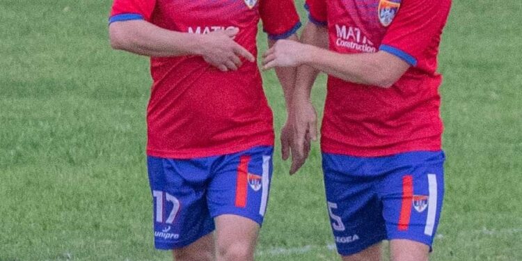 Decenija sidnejskih Orlova