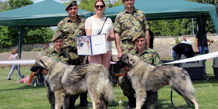 Priznanja za službene vojne pse