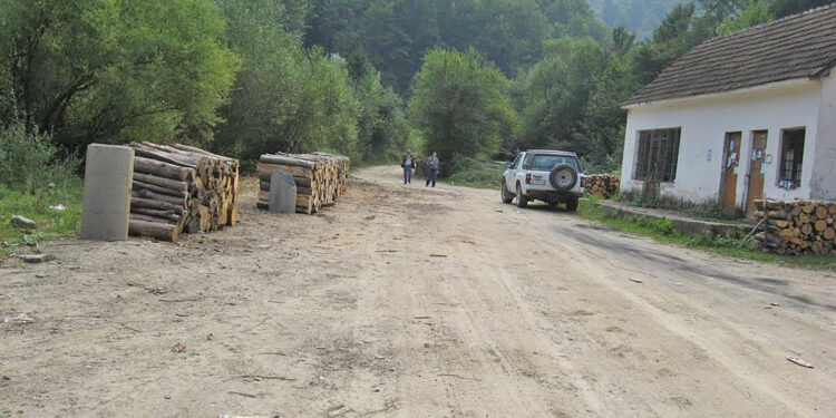 Nestali bez traga