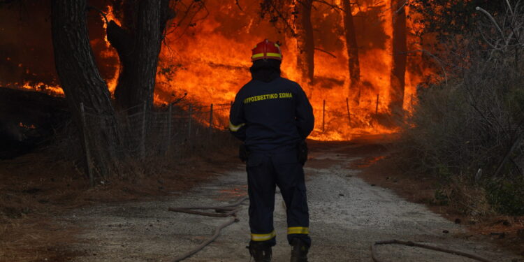 Vatrogasci u Grčkoj se bore sa četiri šumska požara