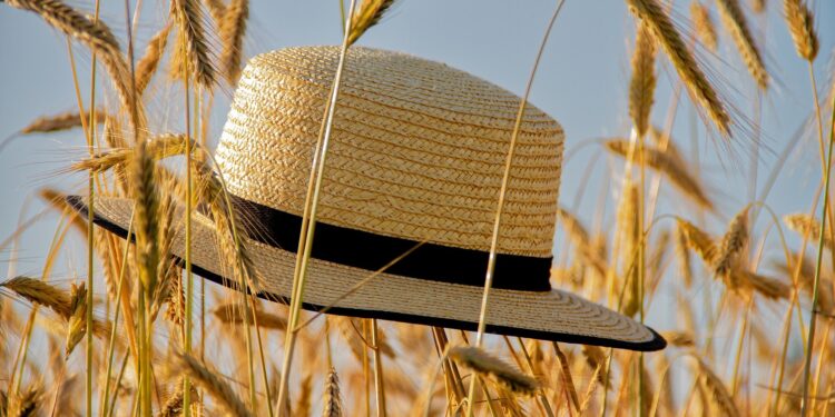 RHMZ upozorava na visoku temperaturu i nepogode