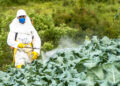 Brinu ih pesticidi u Ozi hrani