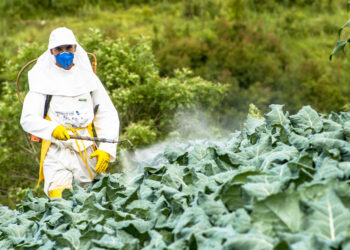 Brinu ih pesticidi u Ozi hrani