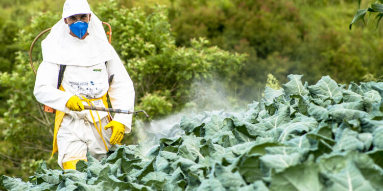 Brinu ih pesticidi u Ozi hrani