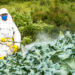 Brinu ih pesticidi u Ozi hrani