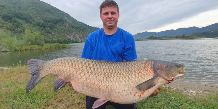 Upecao amura od 27 kilograma