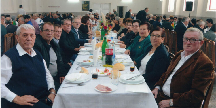 Penzionerski ručak uz pesmu