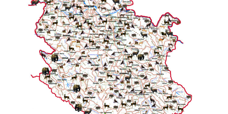Deca i ekologija: Opstanak životinja zavisi od ljudi