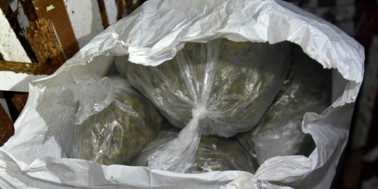 Policija zaplenila više od 120 kg marihuane