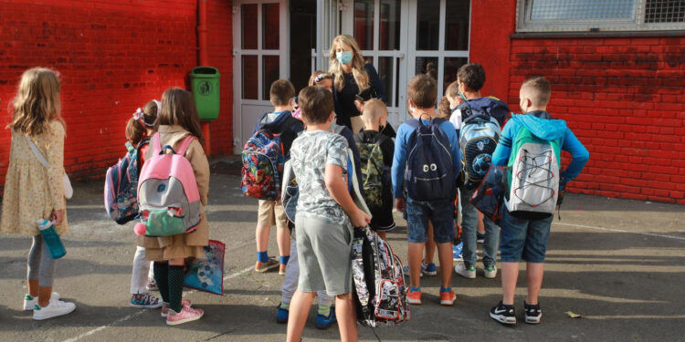 Biju đake i profesore