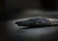 Klimatski aktivisti oskrnavili sliku Gustava Klimta