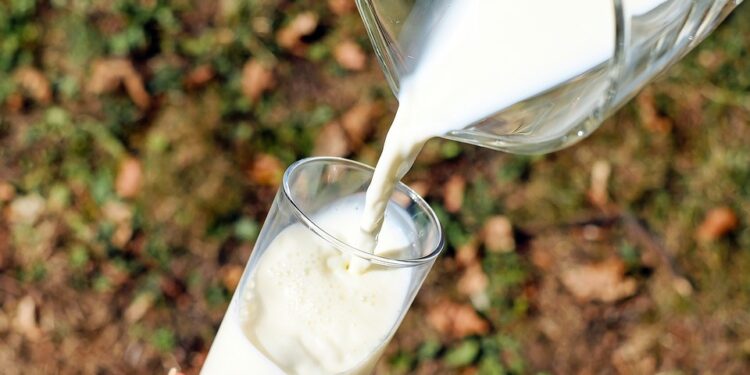 Produžena zabrana izvoza mleka i mlečnih proizvoda