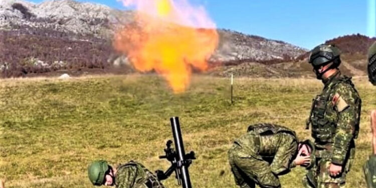 Mehaj: Kosovo i Albanija zajedno jači