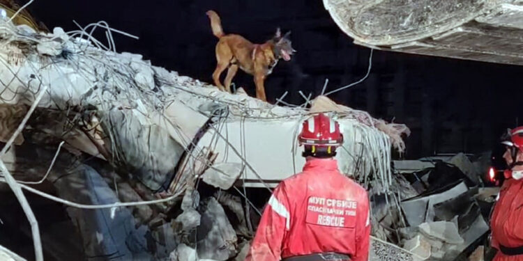 Turska: Broj poginulih 38.044, UN žele da prikupe milijardu dolara pomoći