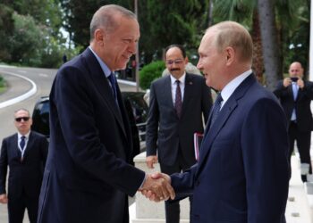Putin i Erdogan razgovarali o situaciji u Ukrajini