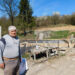 Brašno će opet ići u dijasporu
