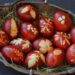Zašto se jaja za Vaskrs boje u crveno?