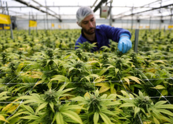 Korak ka legalizaciji