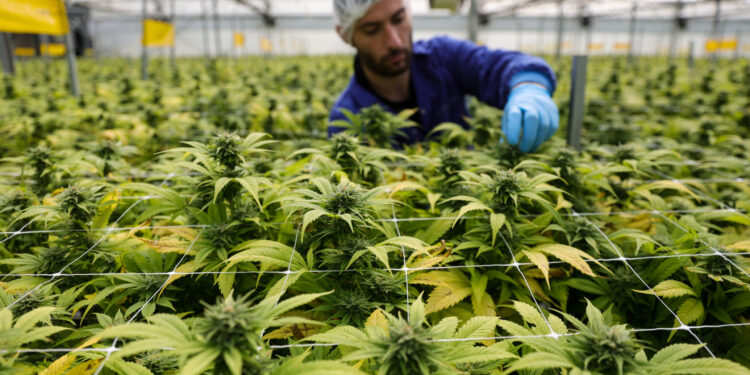Korak ka legalizaciji