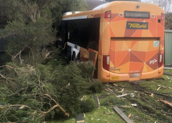 Autobusom u dnevnu sobu?!