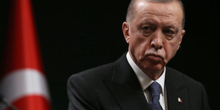 Erdogan: Turska bi mogla da se “rastane” sa EU