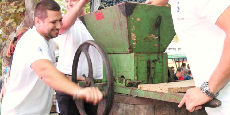 Rečkom teče vino