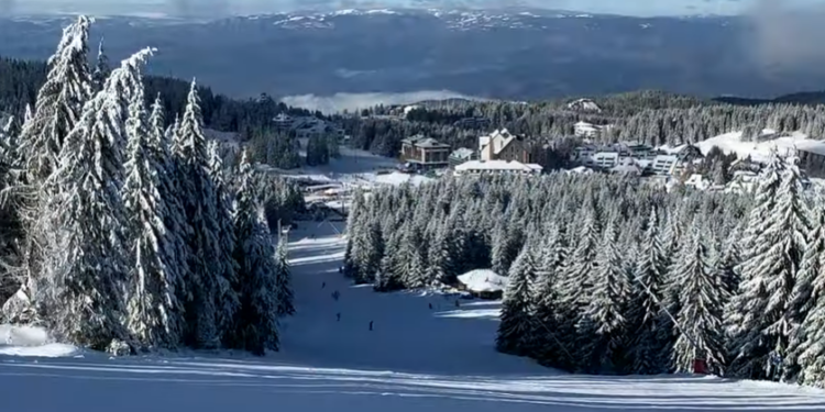 Prvi ozbiljniji sneg na Kopaoniku, počelo i veštačko osnežavanje