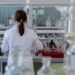Nemačka prijavila epidemiju ptičjeg gripa istočno od Hamburga