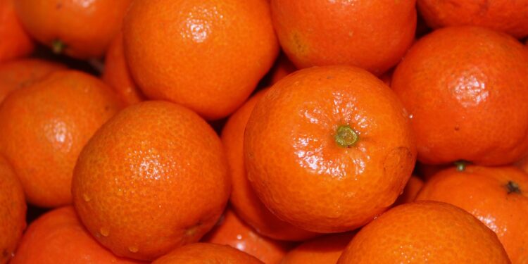 Bosna zabranila uvoz dve tone hrvatskih mandarina