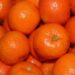 Bosna zabranila uvoz dve tone hrvatskih mandarina