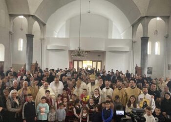 Snaga jedinstva u dijaspori