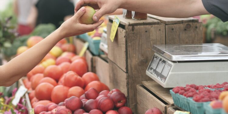 Kako će za praznike raditi prodavnice, pijace i apoteke?