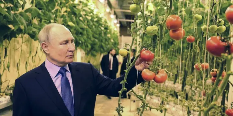 Doktor pregledao Putina na Čukotki, javno izneo dijagnozu