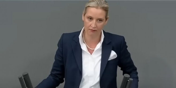 “Ako pobedi AfD, Nemačka ide na referendum o izlasku iz EU”