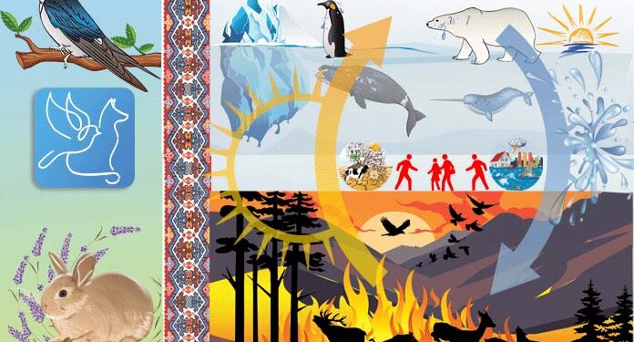 Deca i ekologija: Klimatske promene – izazivanje planete
