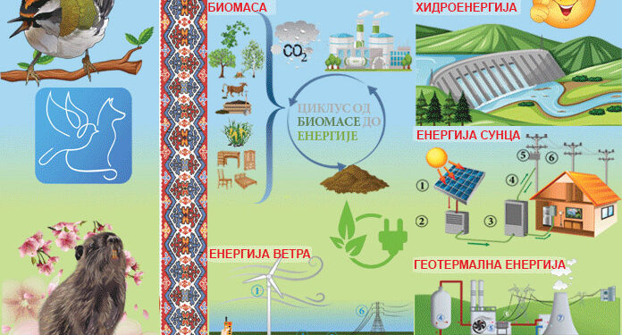 Deca i ekologija: Zelena energija