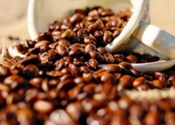 Da li cena kafe konačno pada? Cifre pokazuju jasan trend
