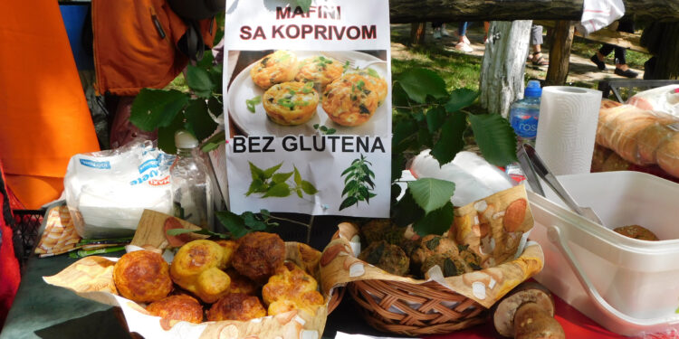 U slavu koprive