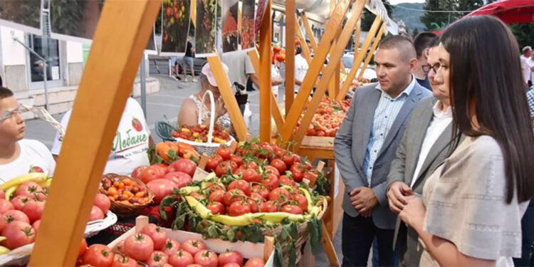 Paradajz adut juga Srbije