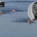 Tragedija: Srpski sportista se utopio u Americi