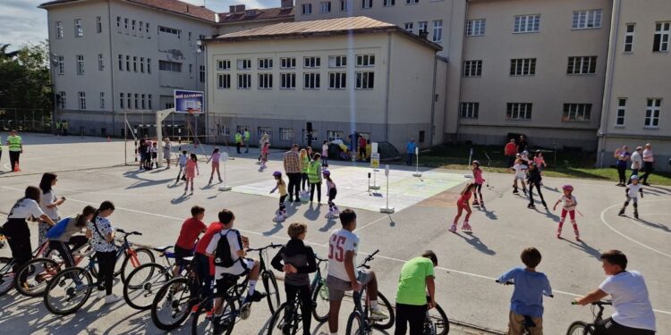 Vranje na putu ka zelenijem gradu uz podršku Švedske i SKGO