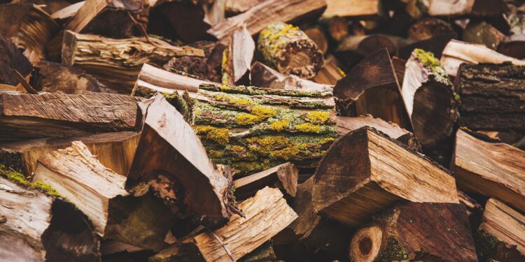 Niže cene ogreva, a ovo je razlog: Kubik drva jeftiniji za 2.000 dinara!