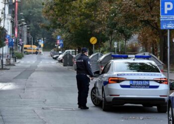 Stravično ubistvo u Novom Sadu: Sin odsekao majci glavu