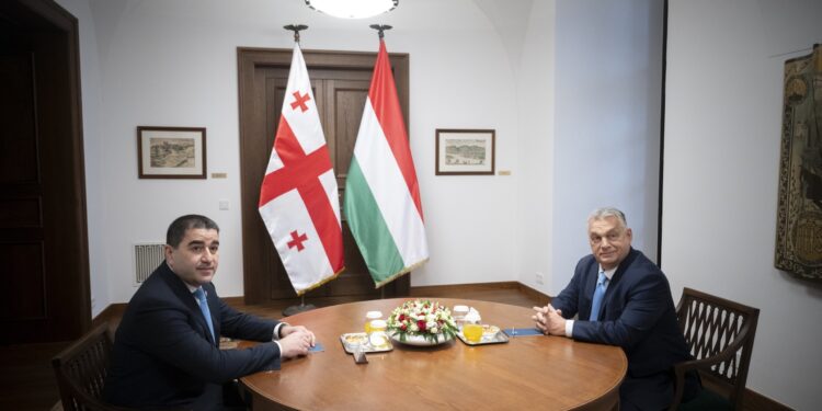Orban pozvao na zaustavljanje “napada Brisela i Soroša” na gruzijsku vladu